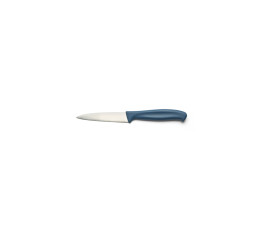 12 cm paring knife - Blue handle