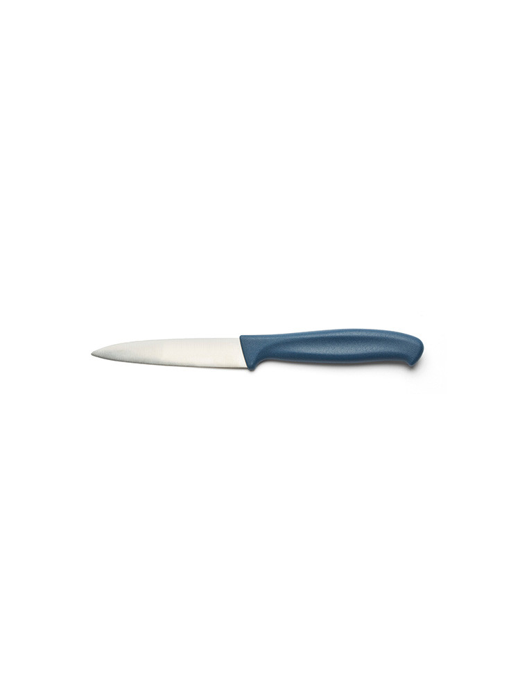 Couteau office 12 cm manche bleu