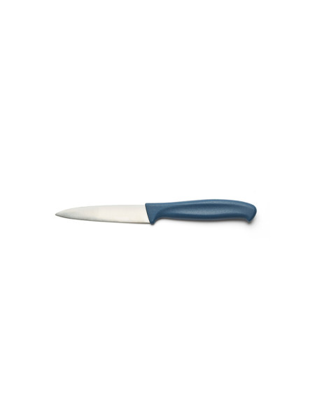 12 cm paring knife - Blue handle