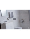 Distributeur savon pour restaurant