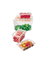 Large Plastic Perforated Container