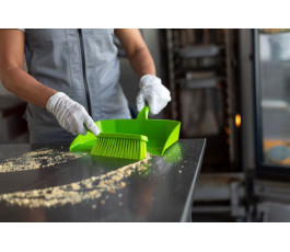 Dustpan, 12.99\", Blue