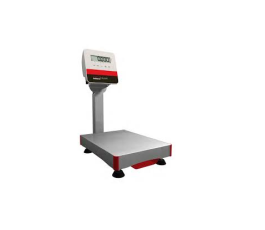 TSX scale 150kg capacity - 20g precision - 500x400mm platform