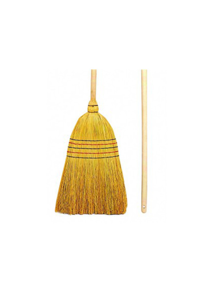 Plant fiber broom