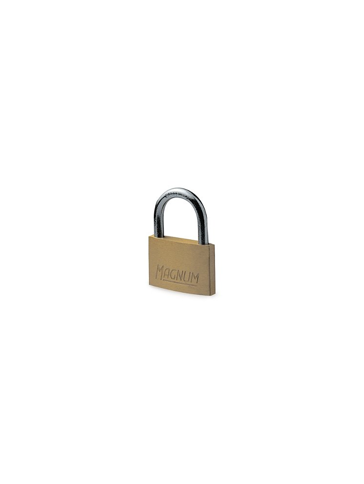 Master Lock 40 mm brass key padlock