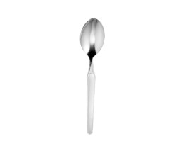 Stainless steel table spoon (set of 12)