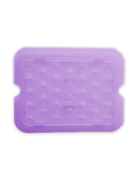 Egouttoir en Polypropylène violet transparent GN 1/2